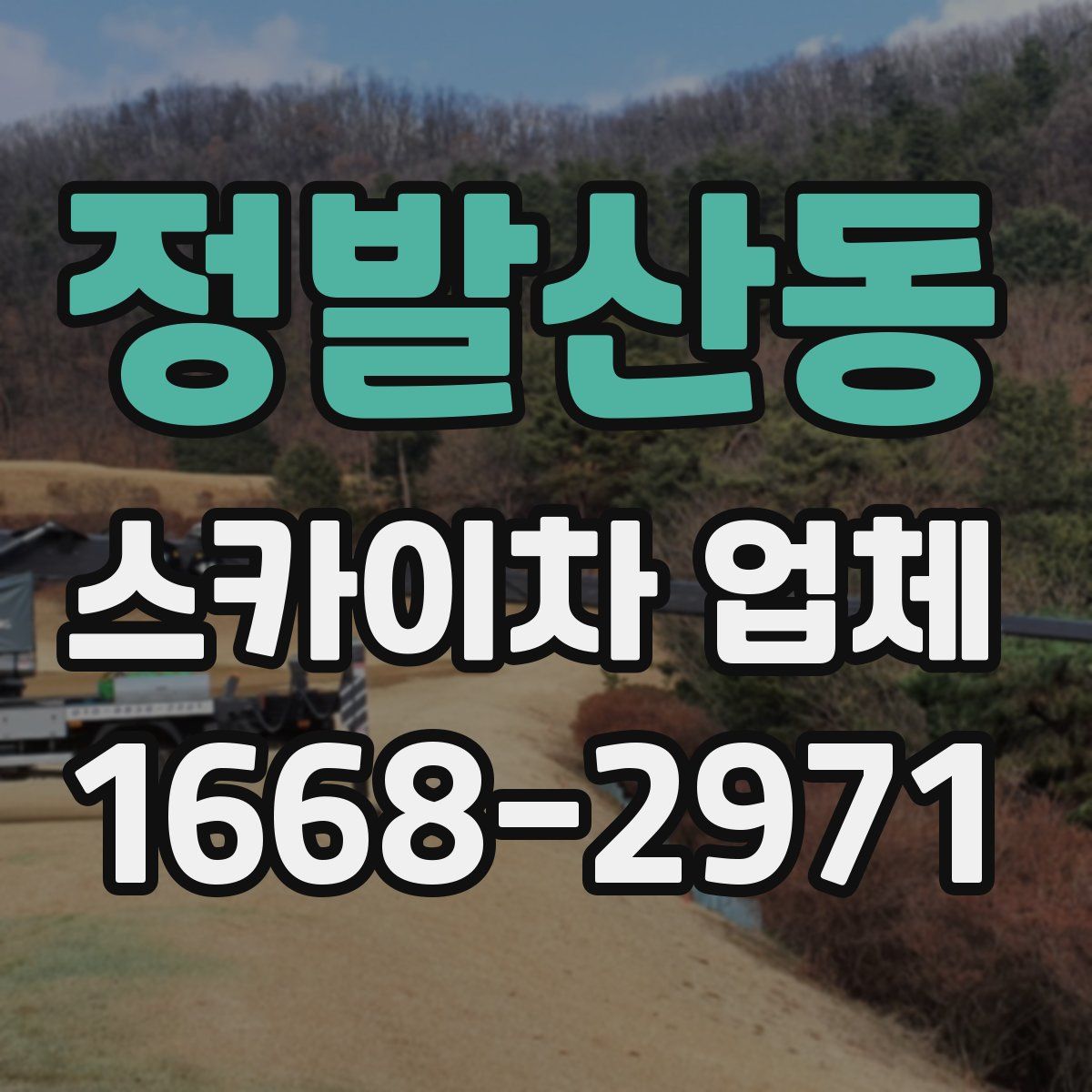 정발산동 스카이차 업체