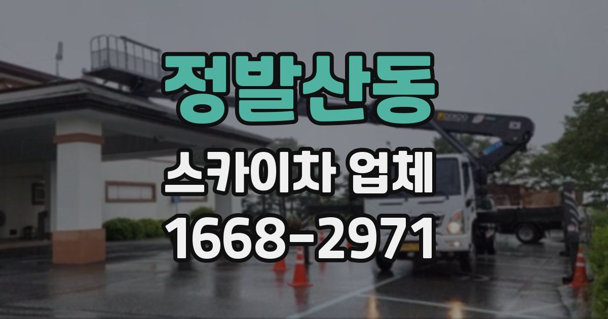 정발산동 스카이차 업체