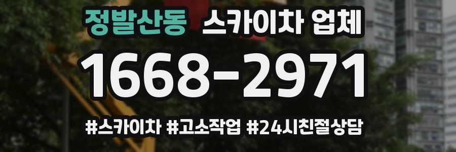 정발산동 스카이차 업체