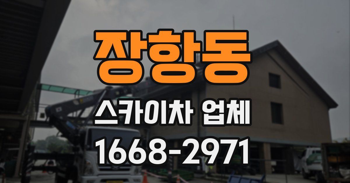 장항동 스카이차 업체