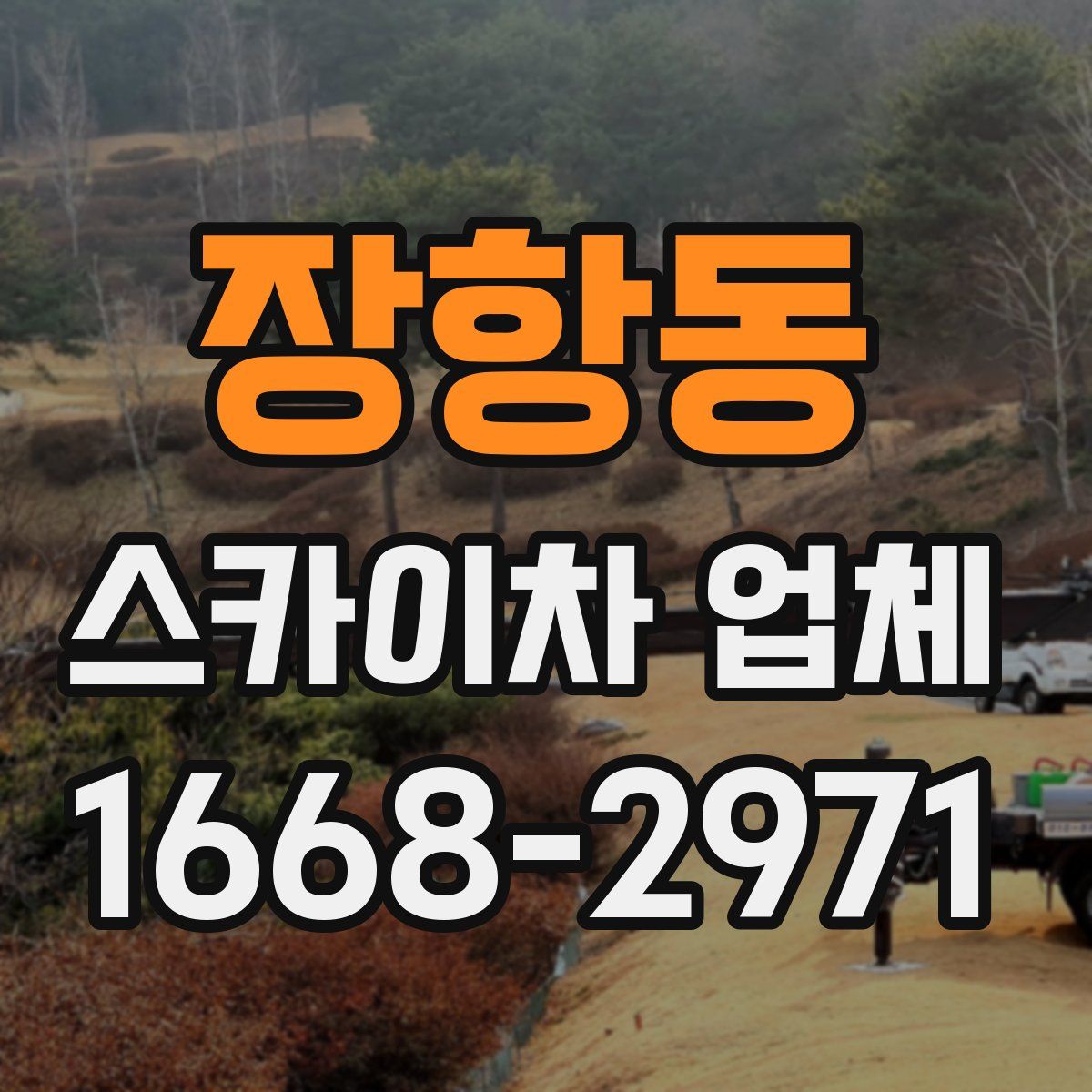 장항동 스카이차 업체