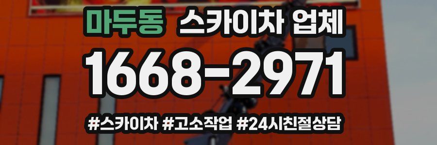 마두동 스카이차 업체