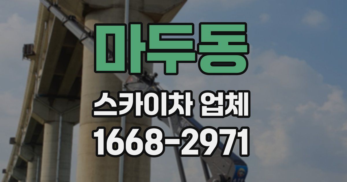 마두동 스카이차 업체