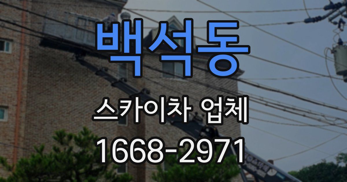 백석동 스카이차 업체