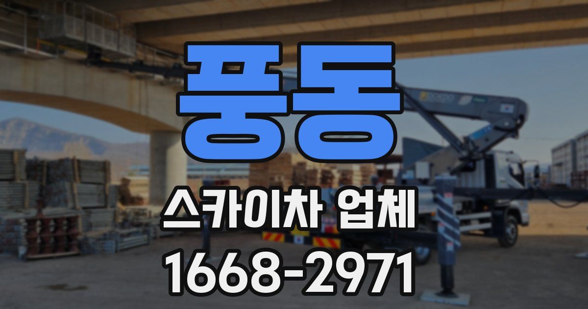 풍동 스카이차 업체