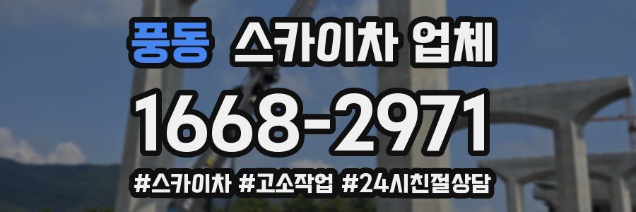 풍동 스카이차 업체