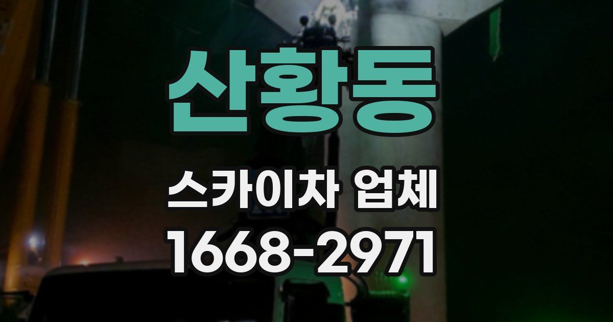 산황동 스카이차 업체