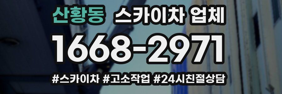 산황동 스카이차 업체