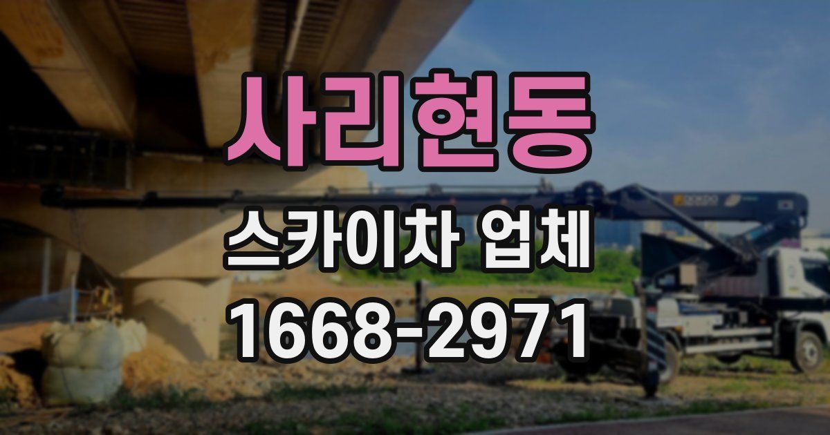 사리현동 스카이차 업체