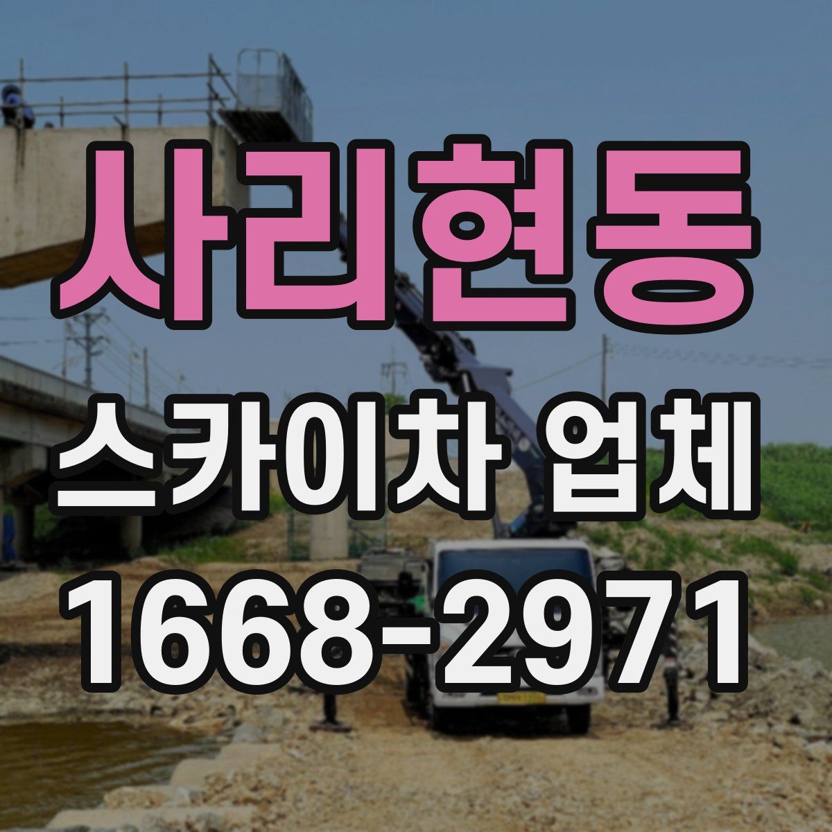 사리현동 스카이차 업체