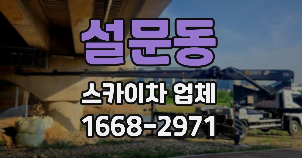 설문동 스카이차 업체