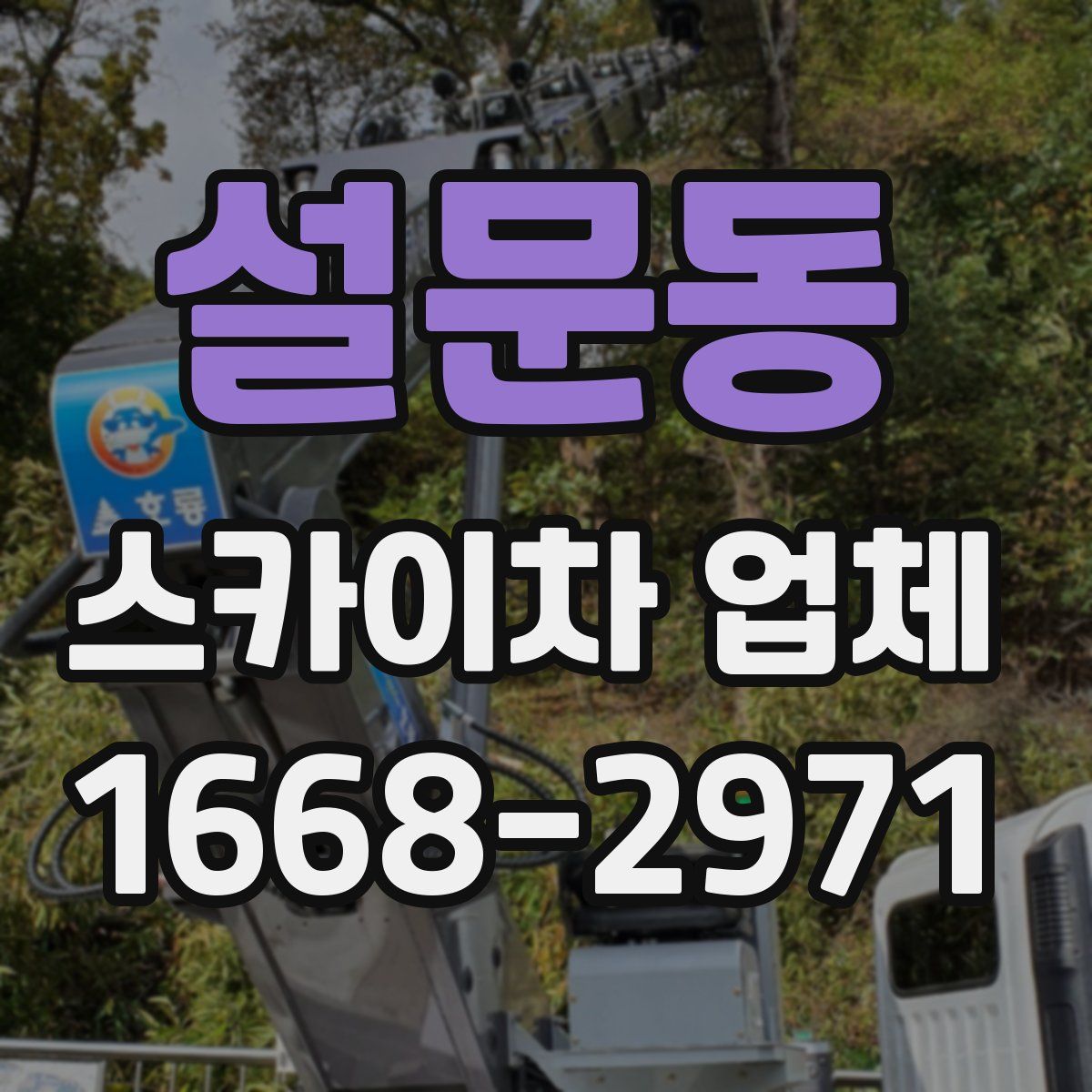 설문동 스카이차 업체
