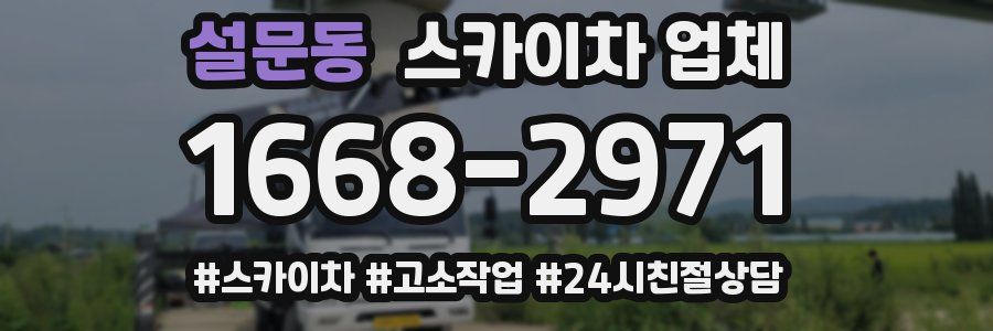 설문동 스카이차 업체