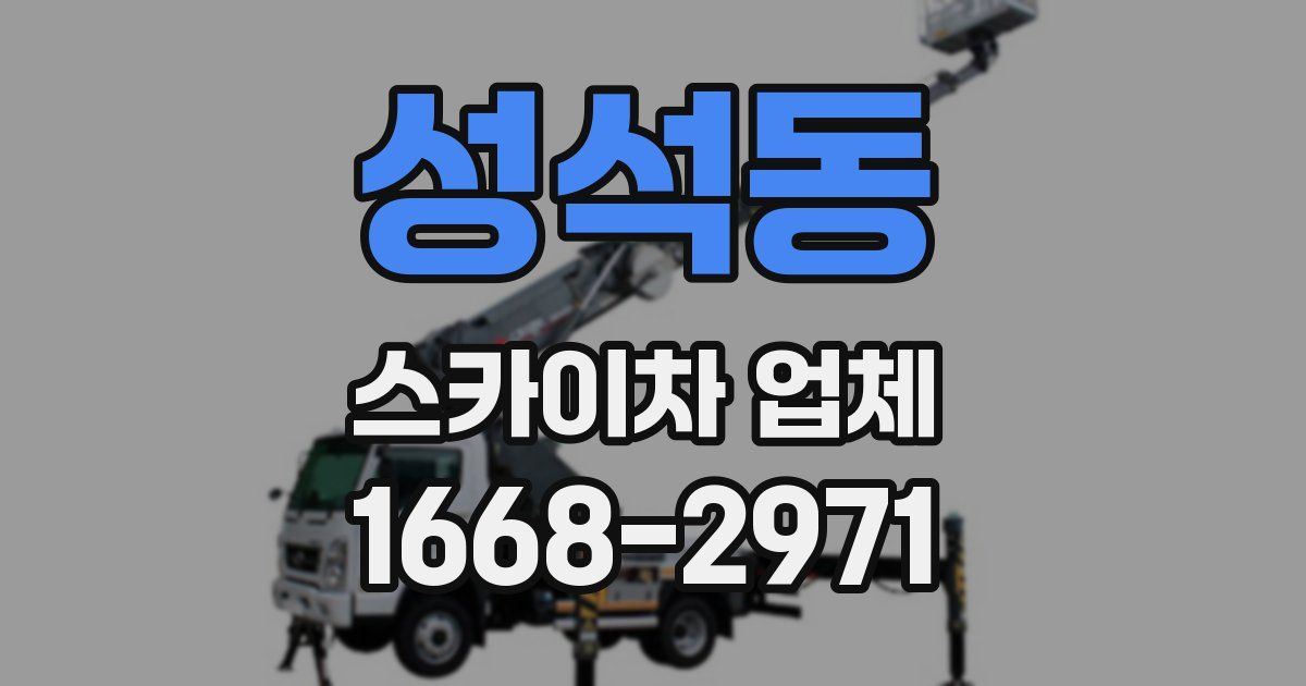 성석동 스카이차 업체