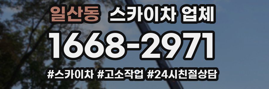일산동 스카이차 업체