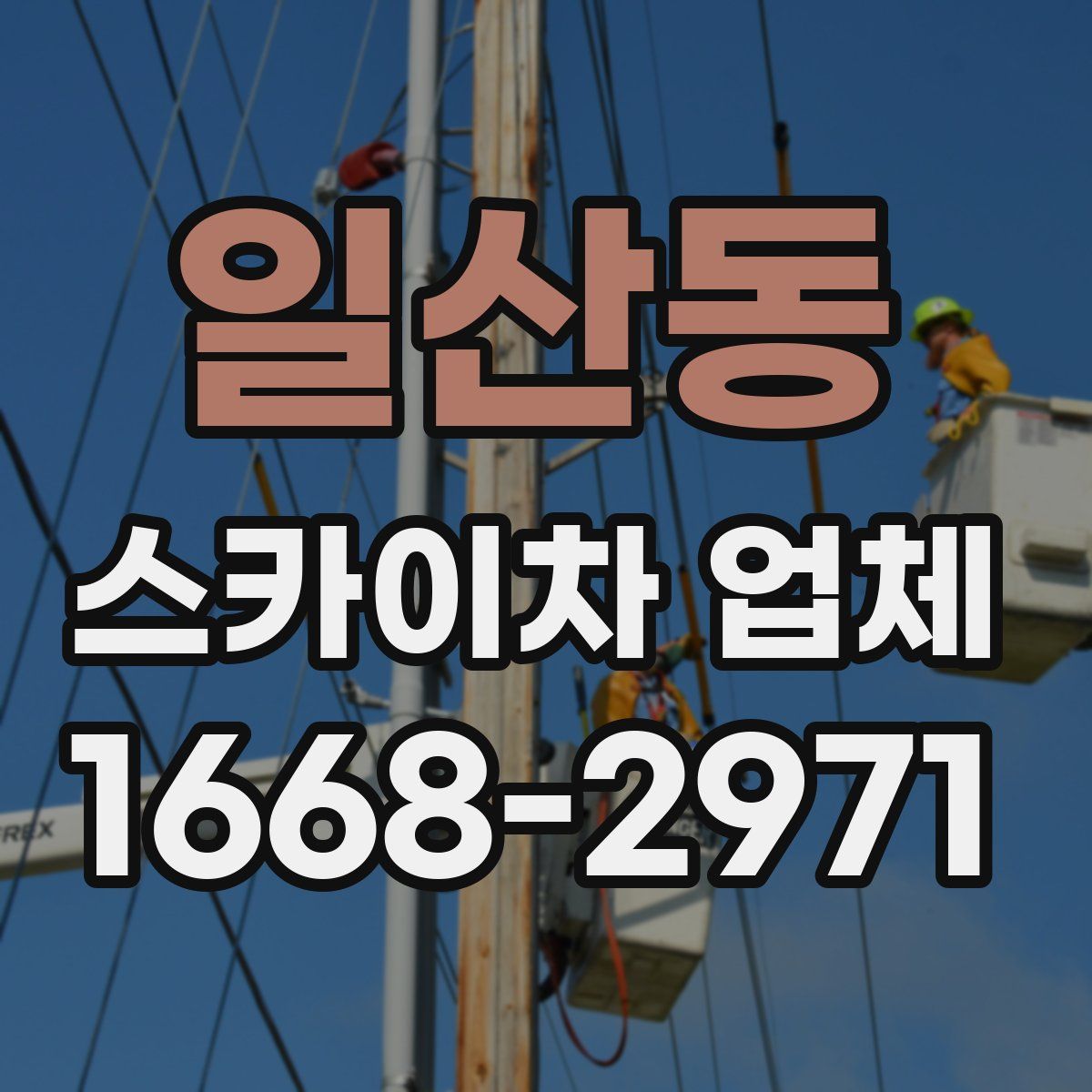 일산동 스카이차 업체