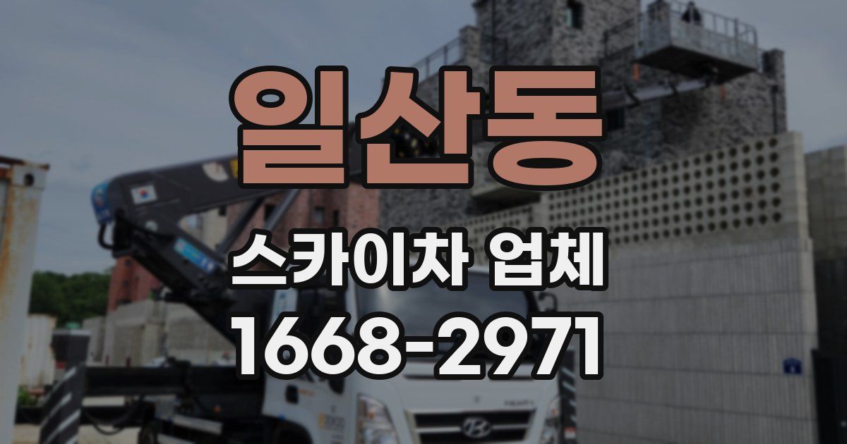 일산동 스카이차 업체