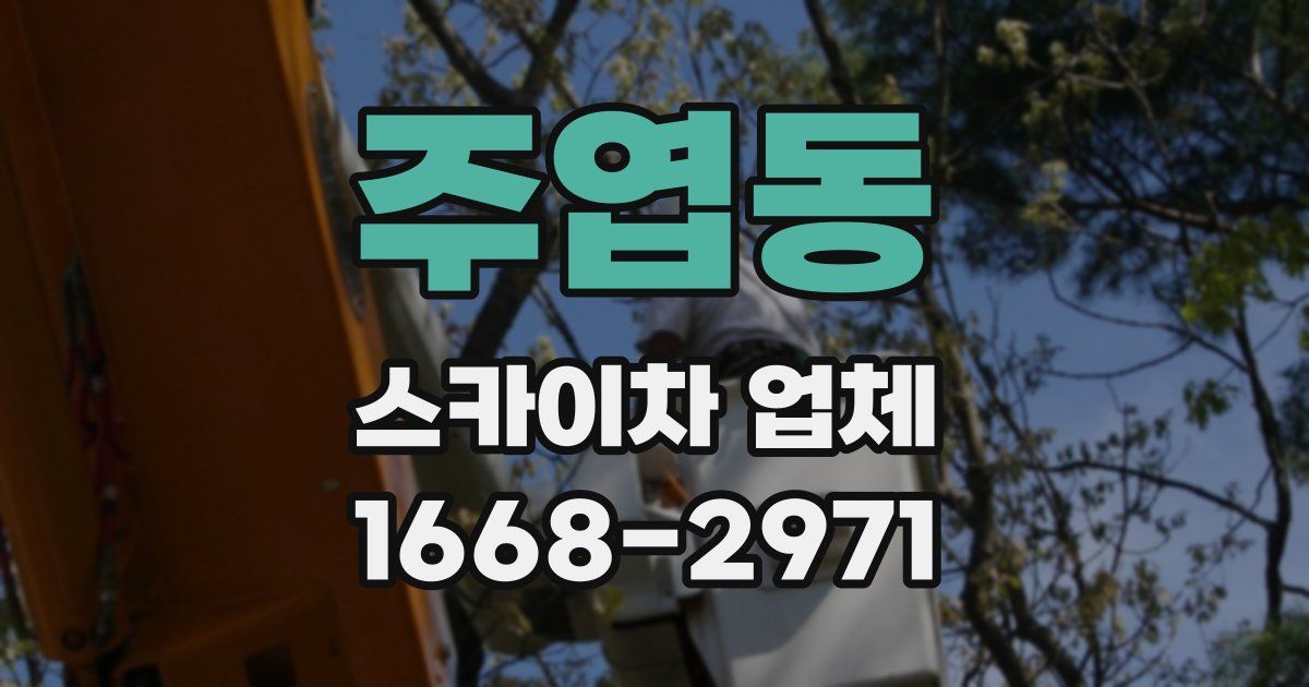 주엽동 스카이차 업체