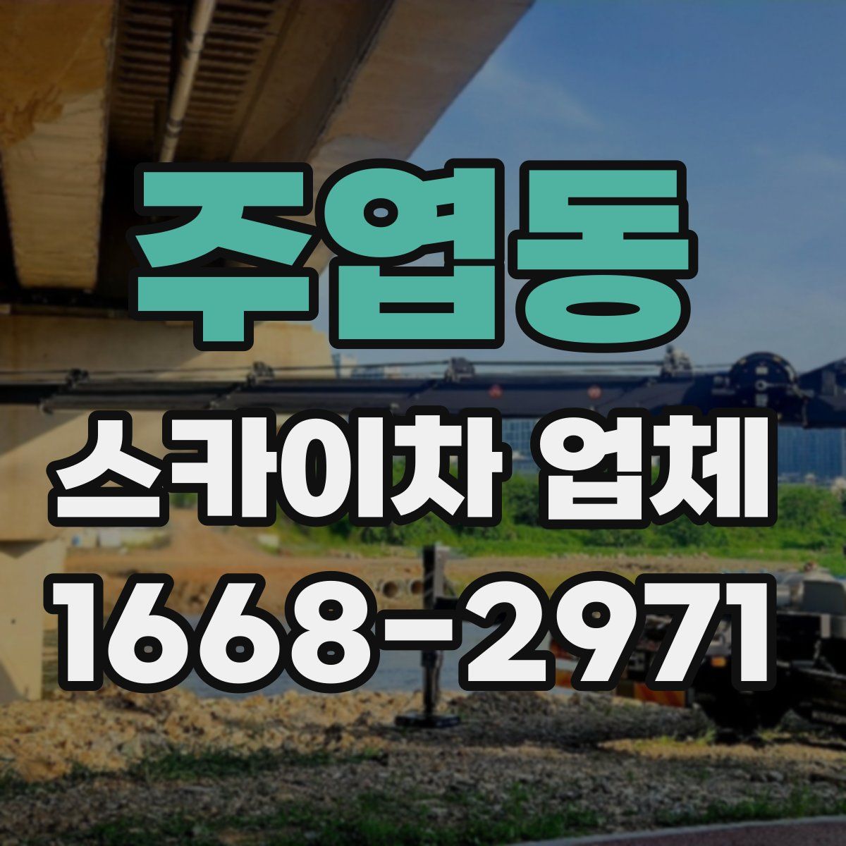 주엽동 스카이차 업체