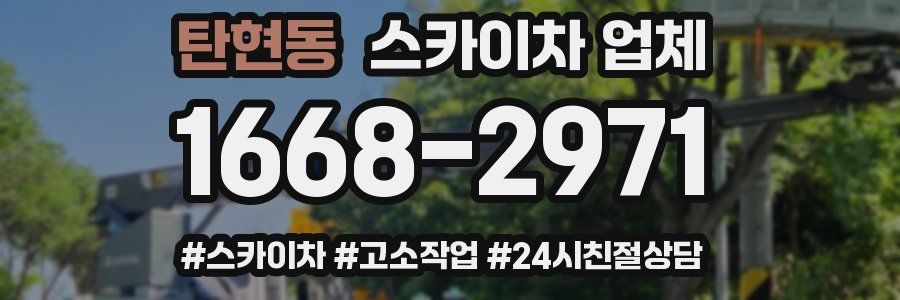 탄현동 스카이차 업체