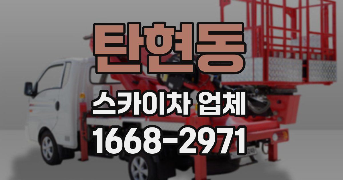 탄현동 스카이차 업체