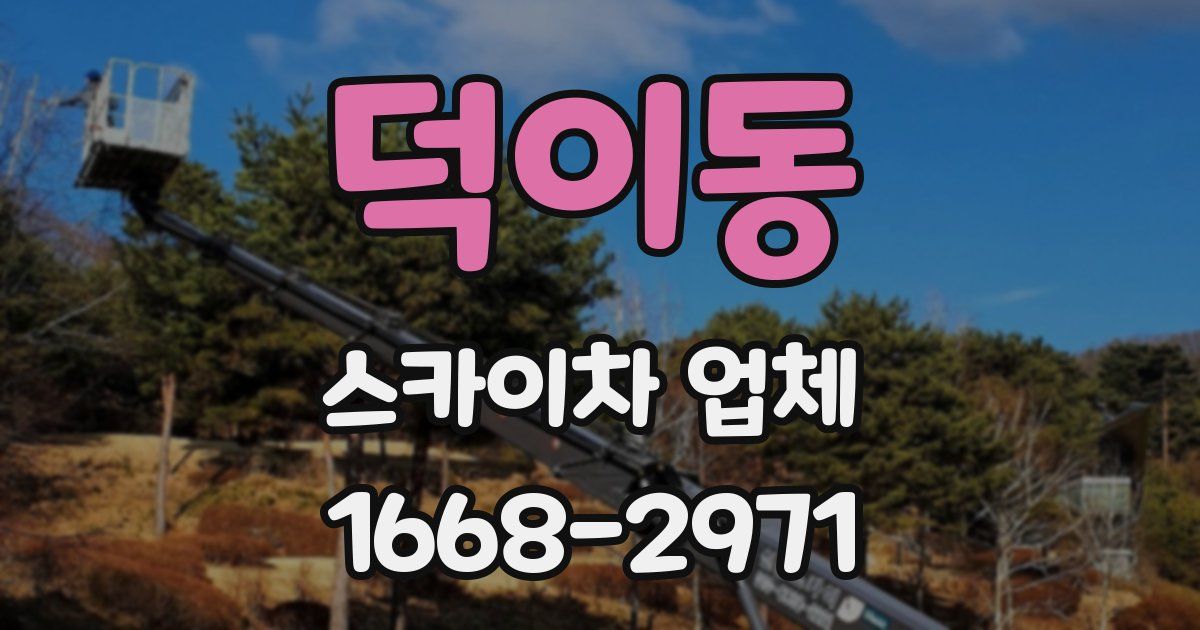 덕이동 스카이차 업체
