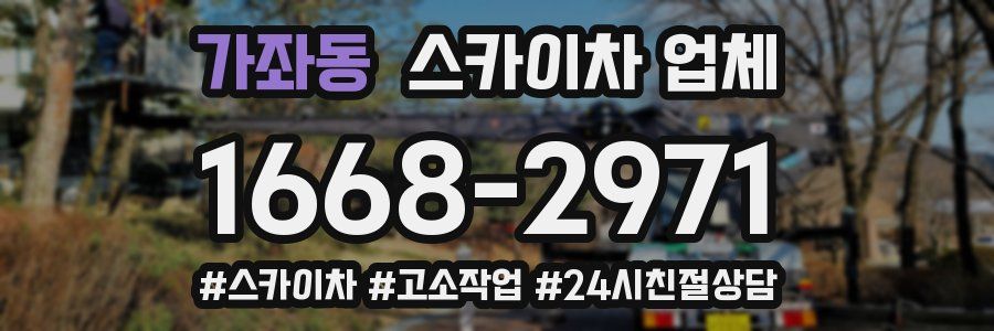 가좌동 스카이차 업체