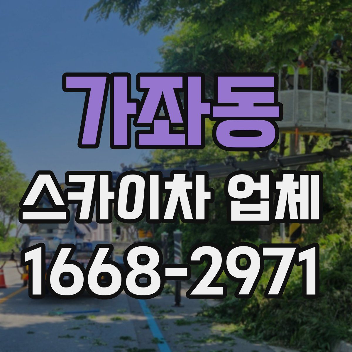가좌동 스카이차 업체