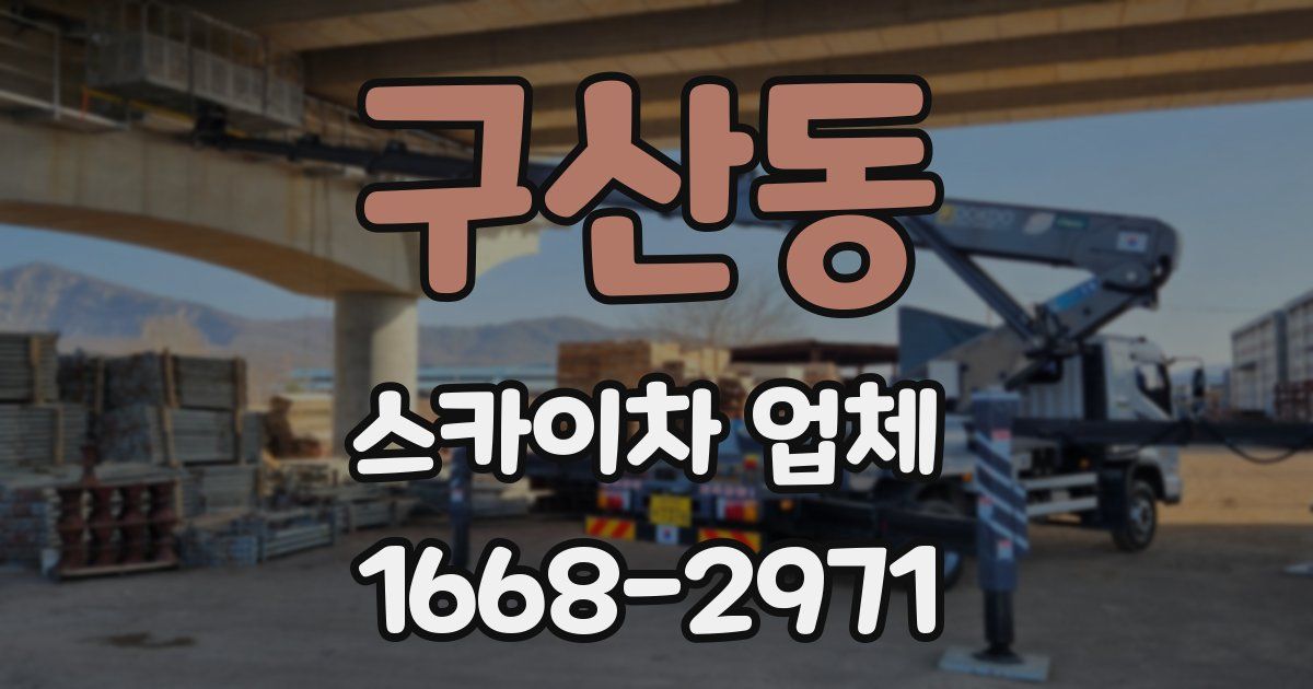 구산동 스카이차 업체