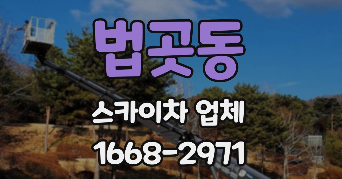 법곳동 스카이차 업체