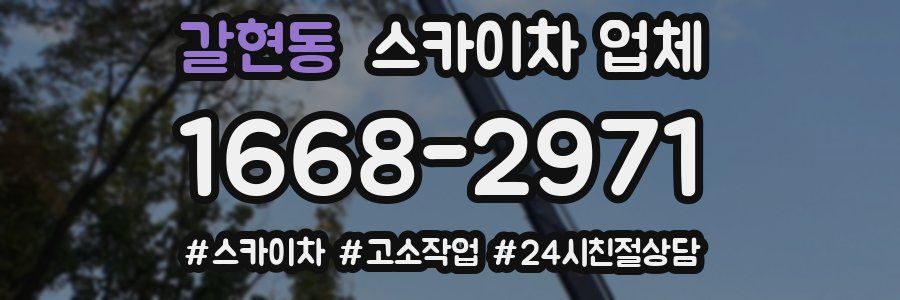 갈현동 스카이차 업체
