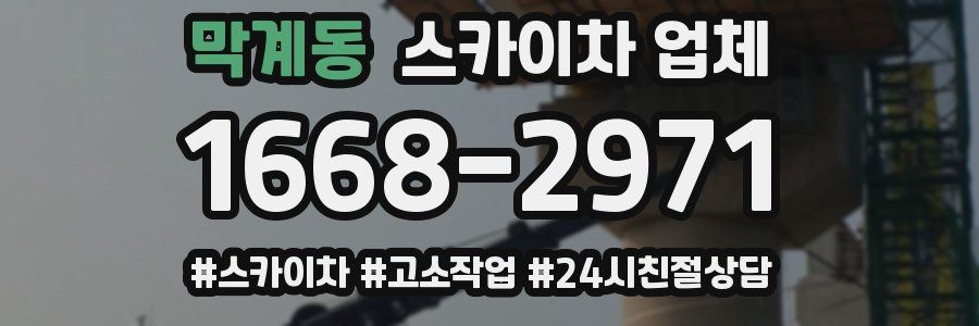 막계동 스카이차 업체