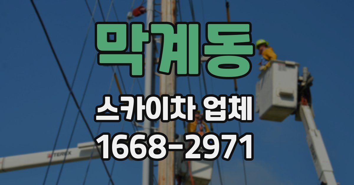 막계동 스카이차 업체