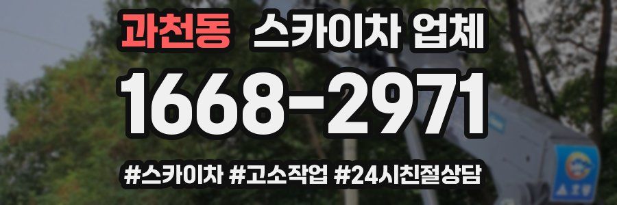 과천동 스카이차 업체