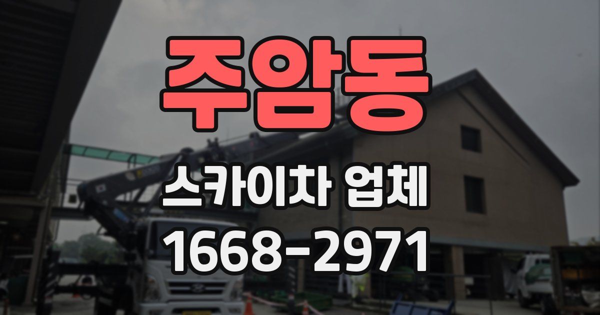 주암동 스카이차 업체