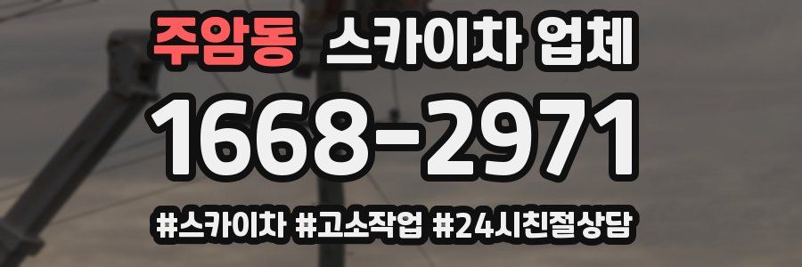 주암동 스카이차 업체