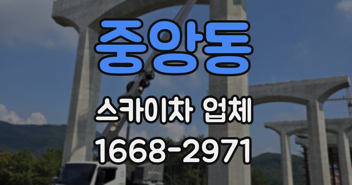 중앙동 스카이차 업체