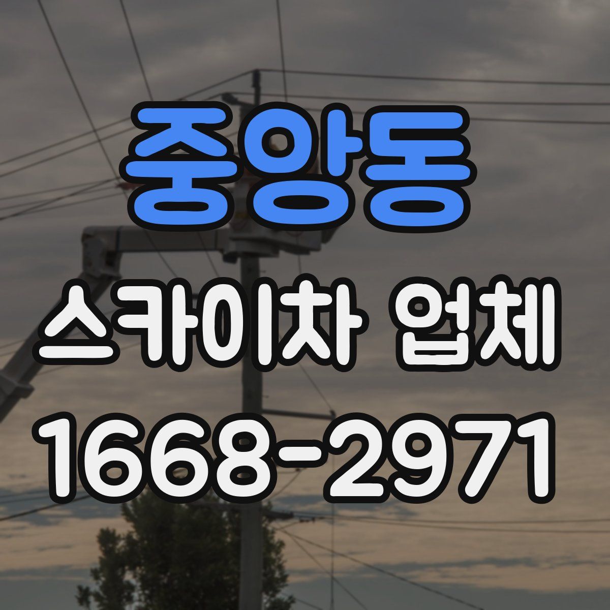 중앙동 스카이차 업체