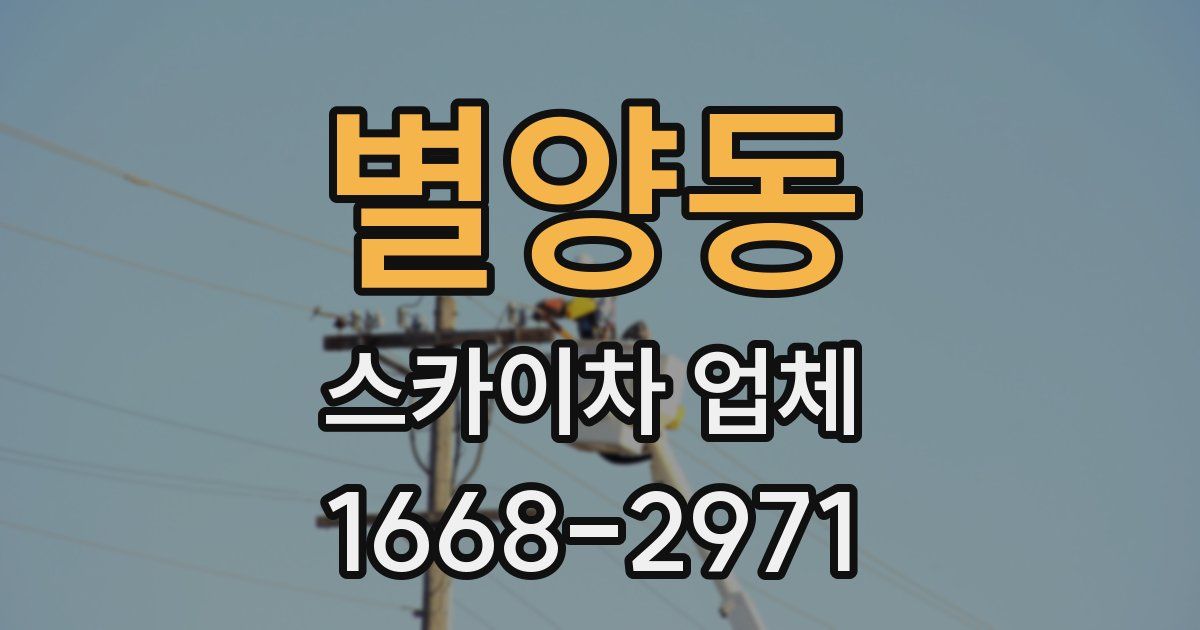 별양동 스카이차 업체