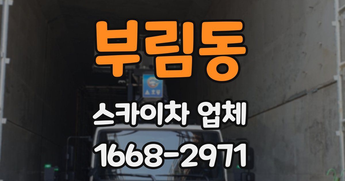 부림동 스카이차 업체