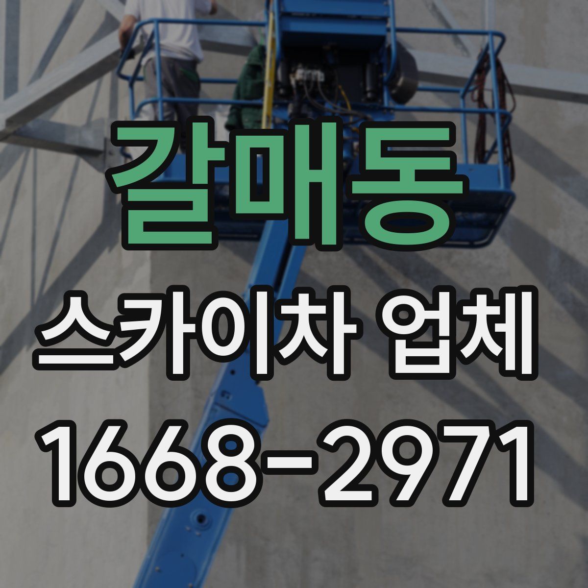 갈매동 스카이차 업체