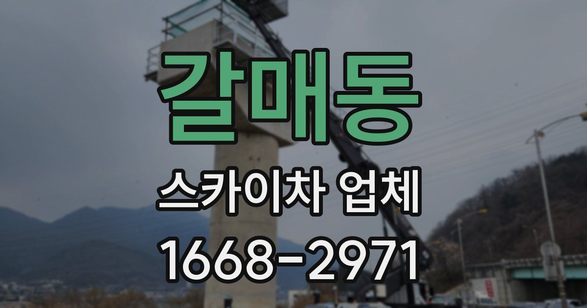 갈매동 스카이차 업체