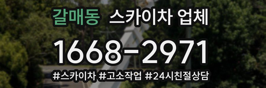 갈매동 스카이차 업체