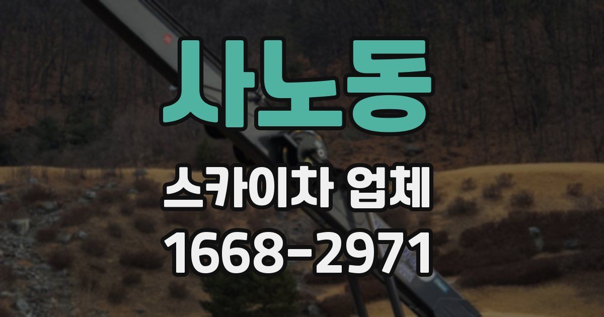 사노동 스카이차 업체