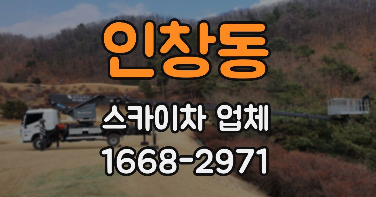 인창동 스카이차 업체