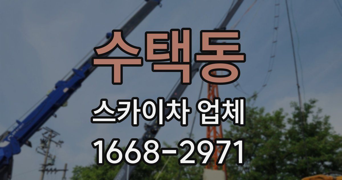 수택동 스카이차 업체