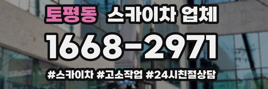 토평동 스카이차 업체