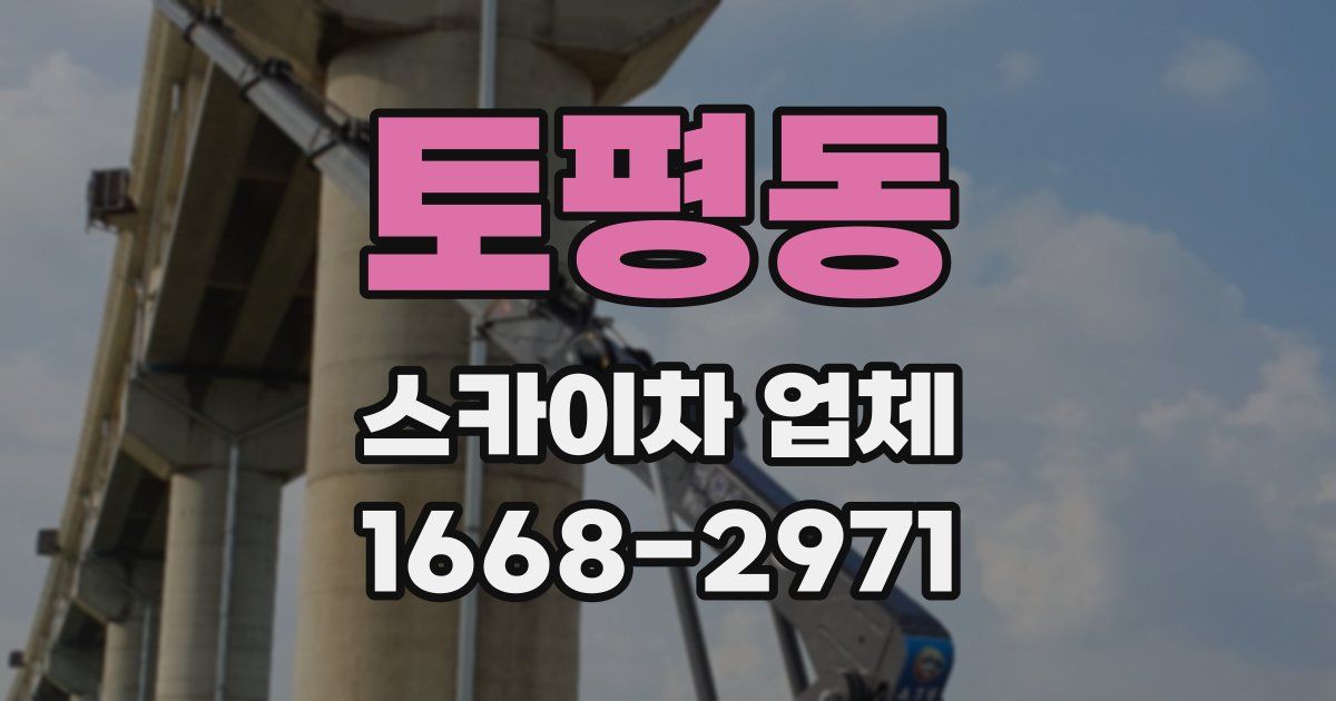 토평동 스카이차 업체