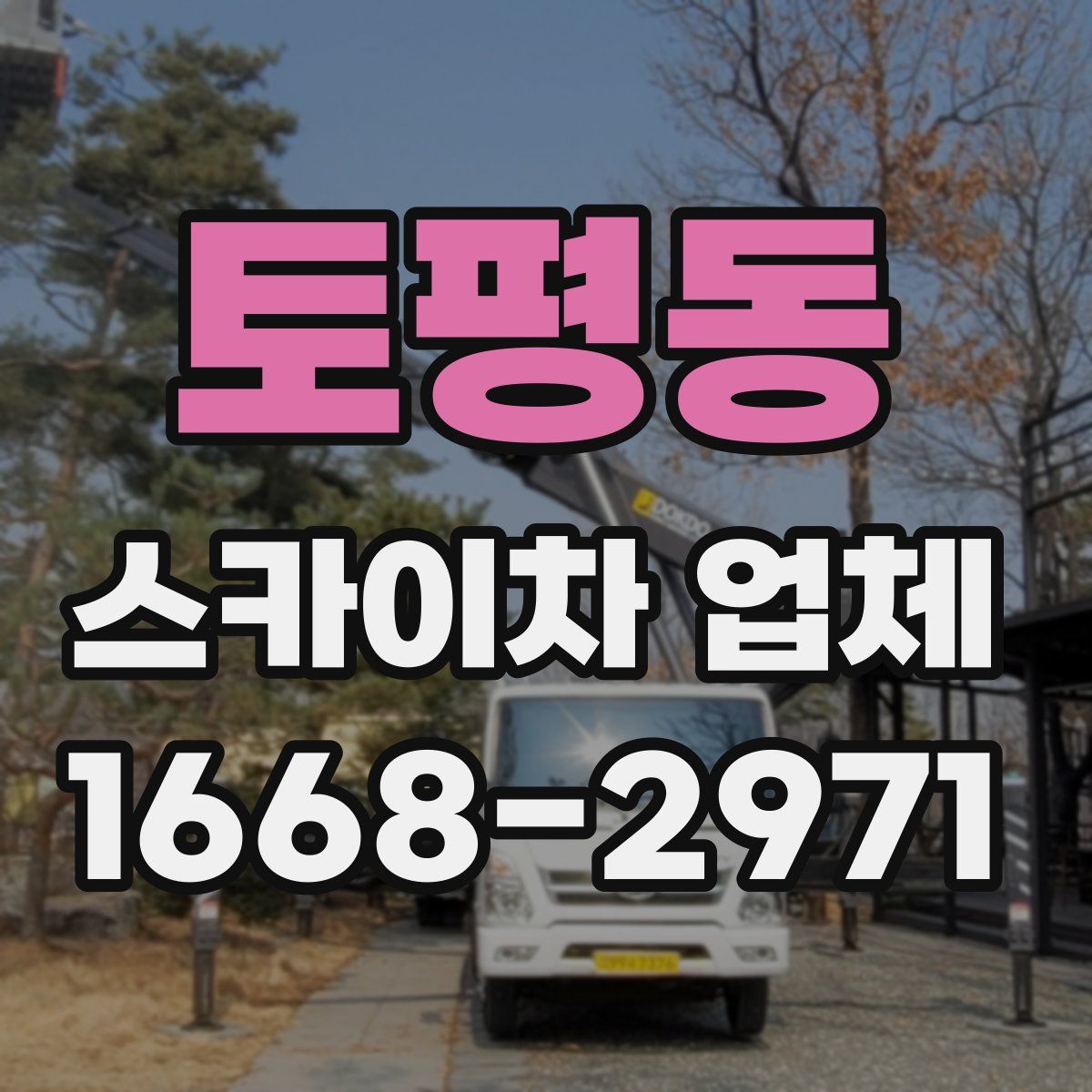 토평동 스카이차 업체