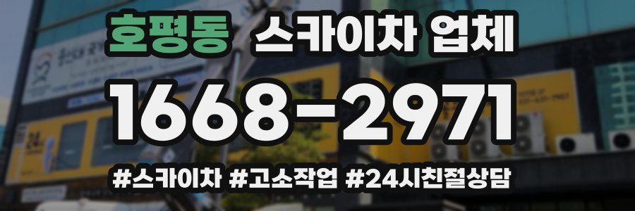 호평동 스카이차 업체